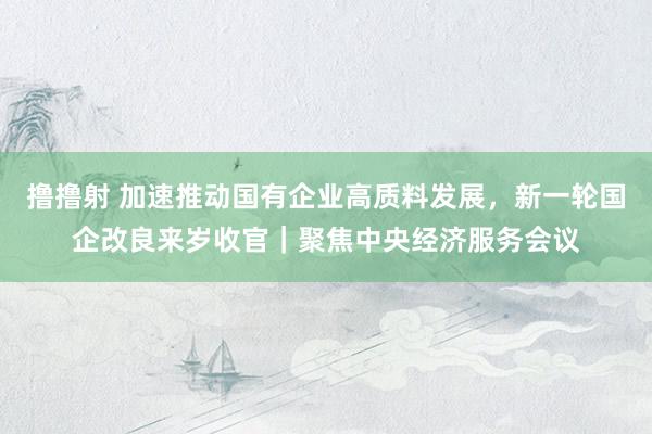 撸撸射 加速推动国有企业高质料发展，新一轮国企改良来岁收官｜聚焦中央经济服务会议