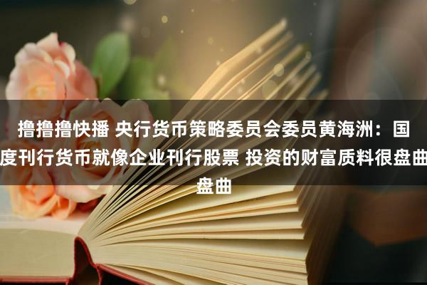 撸撸撸快播 央行货币策略委员会委员黄海洲：国度刊行货币就像企业刊行股票 投资的财富质料很盘曲