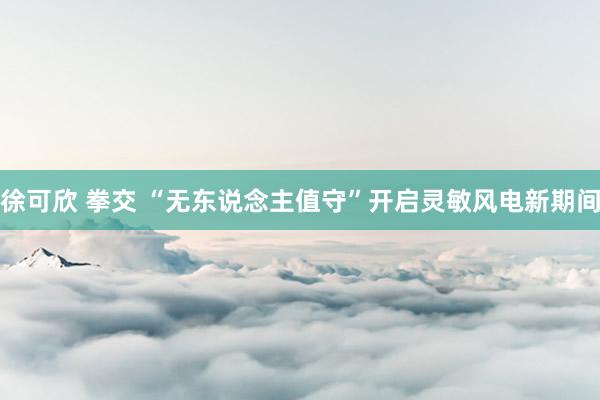 徐可欣 拳交 “无东说念主值守”开启灵敏风电新期间
