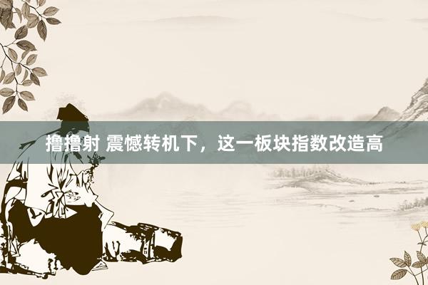 撸撸射 震憾转机下，这一板块指数改造高