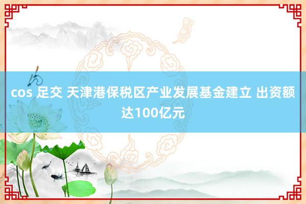 cos 足交 天津港保税区产业发展基金建立 出资额达100亿元