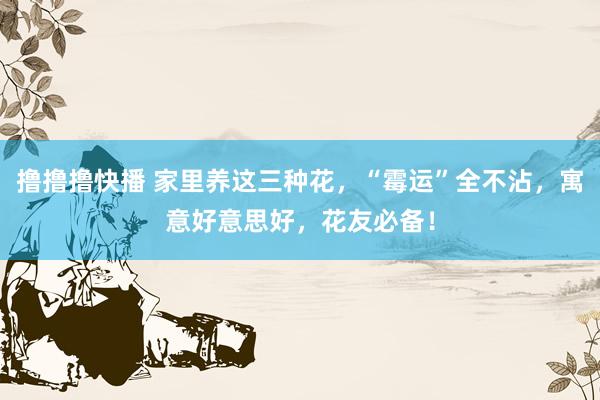 撸撸撸快播 家里养这三种花，“霉运”全不沾，寓意好意思好，花友必备！