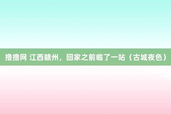 撸撸网 江西赣州，回家之前临了一站（古城夜色）