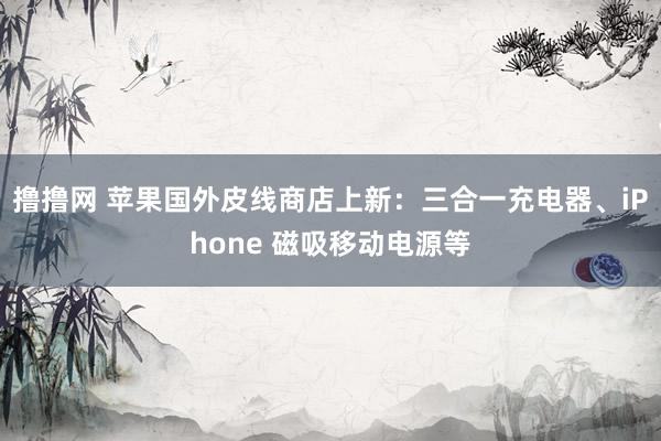 撸撸网 苹果国外皮线商店上新：三合一充电器、iPhone 磁吸移动电源等