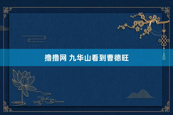 撸撸网 九华山看到曹德旺