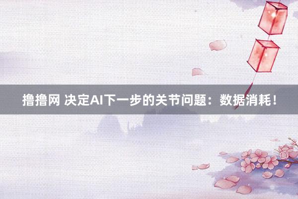 撸撸网 决定AI下一步的关节问题：数据消耗！