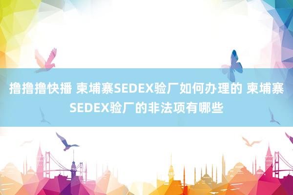 撸撸撸快播 柬埔寨SEDEX验厂如何办理的 柬埔寨SEDEX验厂的非法项有哪些