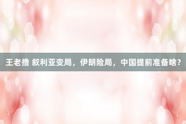 王老撸 叙利亚变局，伊朗险局，中国提前准备啥？
