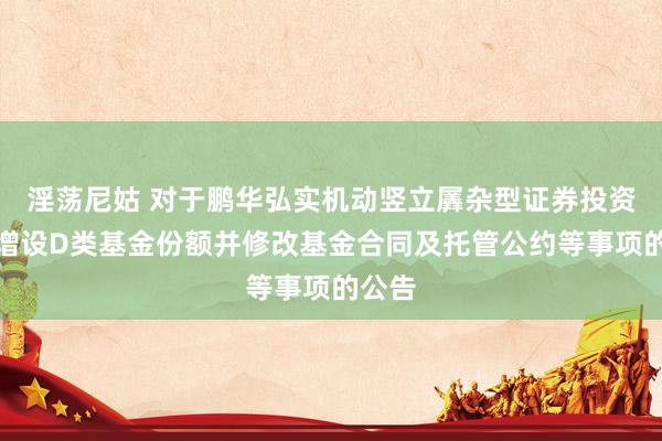淫荡尼姑 对于鹏华弘实机动竖立羼杂型证券投资基金增设D类基金份额并修改基金合同及托管公约等事项的公告