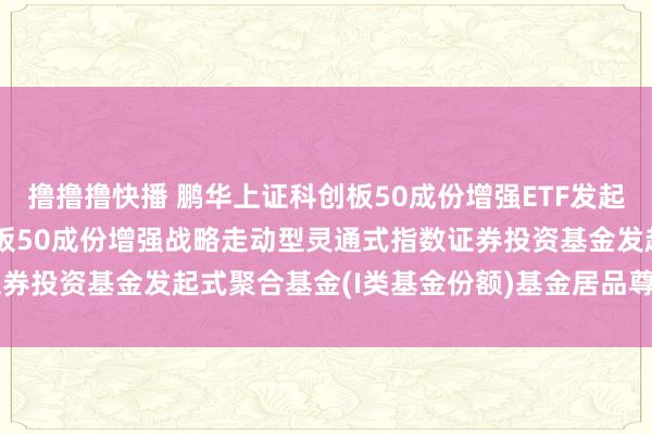 撸撸撸快播 鹏华上证科创板50成份增强ETF发起式聚合I: 鹏华上证科创板50成份增强战略走动型灵通式指数证券投资基金发起式聚合基金(I类基金份额)基金居品尊府节录(更新)