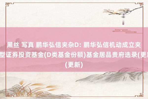 黑丝 写真 鹏华弘信夹杂D: 鹏华弘信机动成立夹杂型证券投资基金(D类基金份额)基金居品贵府选录(更新)