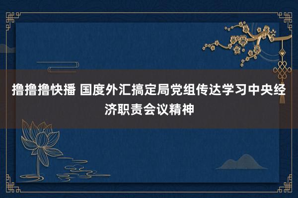 撸撸撸快播 国度外汇搞定局党组传达学习中央经济职责会议精神