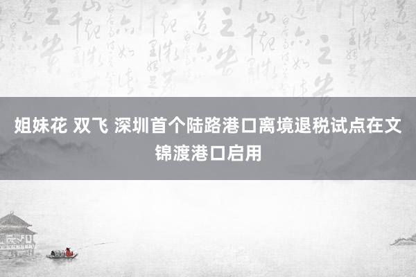 姐妹花 双飞 深圳首个陆路港口离境退税试点在文锦渡港口启用