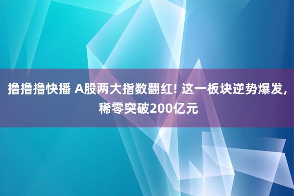 撸撸撸快播 A股两大指数翻红! 这一板块逆势爆发， 稀零突破200亿元
