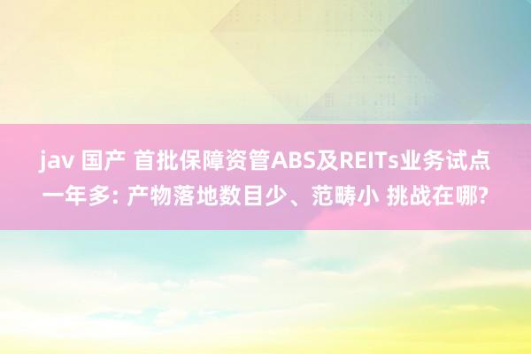 jav 国产 首批保障资管ABS及REITs业务试点一年多: 产物落地数目少、范畴小 挑战在哪?