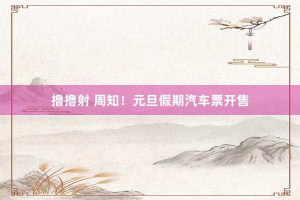 撸撸射 周知！元旦假期汽车票开售