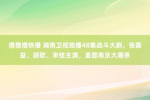 撸撸撸快播 湖南卫视独播48集战斗大剧，张嘉益、胡歌、宋佳主演，直面南京大屠杀
