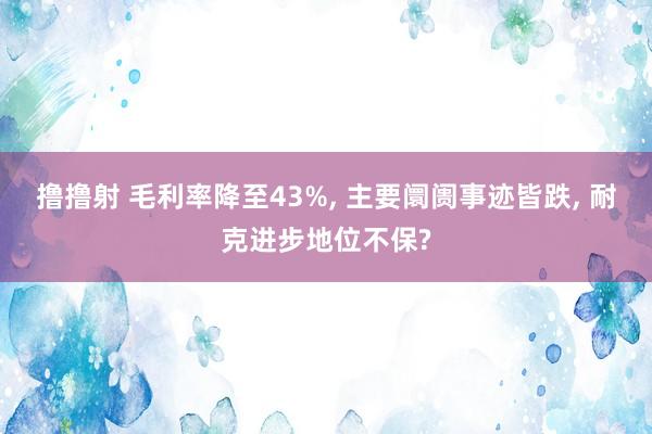 撸撸射 毛利率降至43%， 主要阛阓事迹皆跌， 耐克进步地位不保?