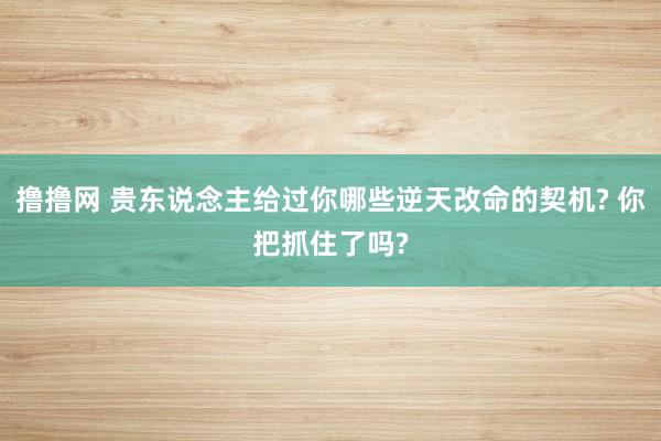 撸撸网 贵东说念主给过你哪些逆天改命的契机? 你把抓住了吗?