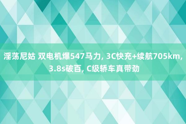 淫荡尼姑 双电机爆547马力， 3C快充+续航705km， 3.8s破百， C级轿车真带劲