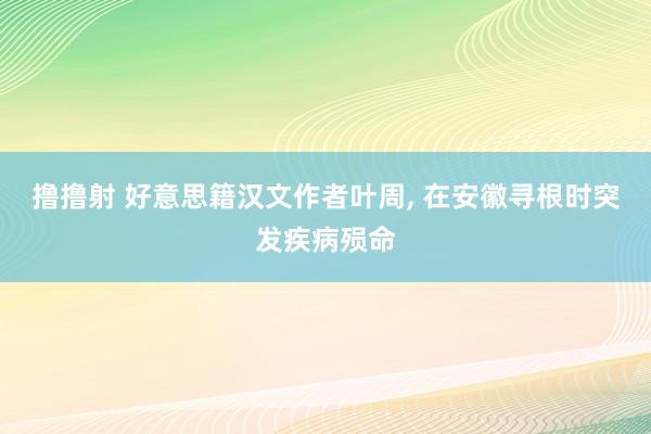 撸撸射 好意思籍汉文作者叶周， 在安徽寻根时突发疾病殒命