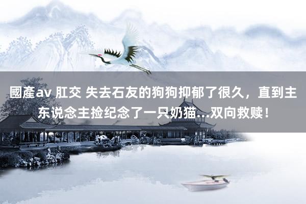 國產av 肛交 失去石友的狗狗抑郁了很久，直到主东说念主捡纪念了一只奶猫...双向救赎！