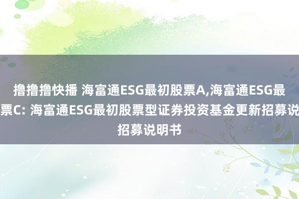 撸撸撸快播 海富通ESG最初股票A,海富通ESG最初股票C: 海富通ESG最初股票型证券投资基金更新招募说明书