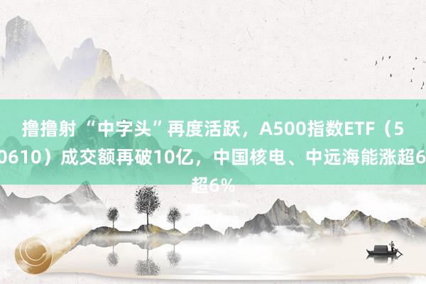 撸撸射 “中字头”再度活跃，A500指数ETF（560610）成交额再破10亿，中国核电、中远海能涨超6%