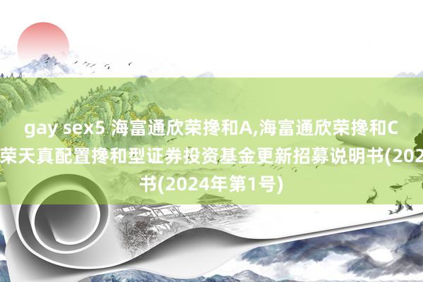 gay sex5 海富通欣荣搀和A，海富通欣荣搀和C: 海富通欣荣天真配置搀和型证券投资基金更新招募说明书(2024年第1号)
