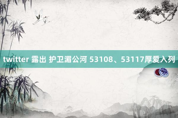 twitter 露出 护卫湄公河 53108、53117厚爱入列