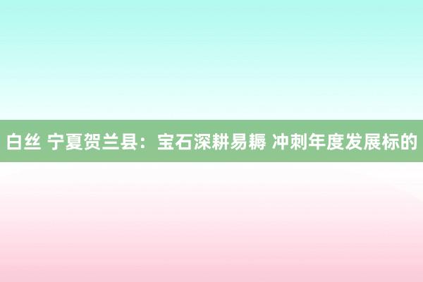 白丝 宁夏贺兰县：宝石深耕易耨 冲刺年度发展标的