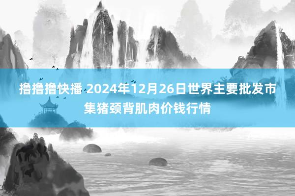 撸撸撸快播 2024年12月26日世界主要批发市集猪颈背肌肉价钱行情