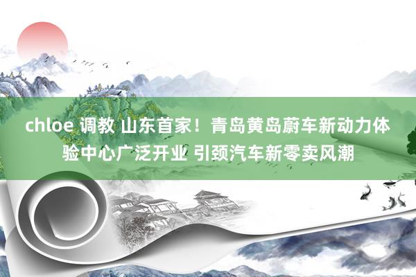 chloe 调教 山东首家！青岛黄岛蔚车新动力体验中心广泛开业 引颈汽车新零卖风潮