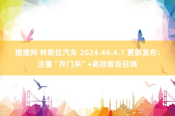 撸撸网 特斯拉汽车 2024.44.4.1 更新发布：注重“开门杀”+高档智能召唤