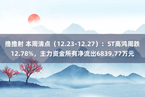撸撸射 本周清点（12.23-12.27）：ST高鸿周跌12.78%，主力资金所有净流出6839.77万元