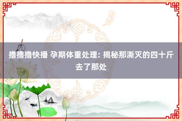 撸撸撸快播 孕期体重处理: 揭秘那澌灭的四十斤去了那处