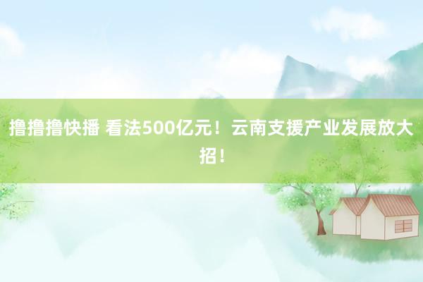 撸撸撸快播 看法500亿元！云南支援产业发展放大招！