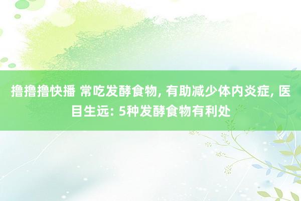 撸撸撸快播 常吃发酵食物， 有助减少体内炎症， 医目生远: 5种发酵食物有利处