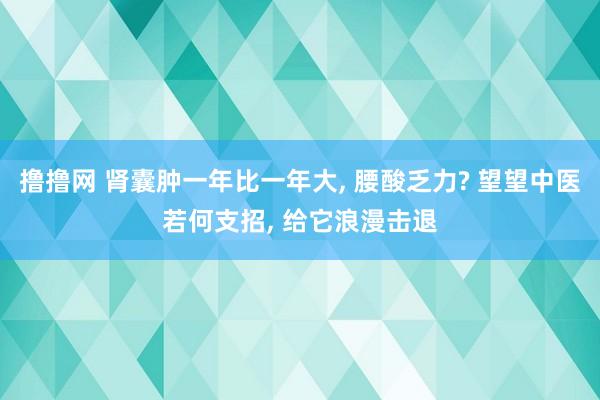 撸撸网 肾囊肿一年比一年大， 腰酸乏力? 望望中医若何支招， 给它浪漫击退
