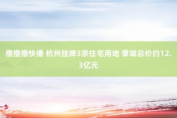 撸撸撸快播 杭州挂牌3宗住宅用地 肇端总价约12.3亿元