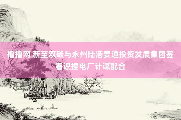 撸撸网 新至双碳与永州陆港要道投资发展集团签署诬捏电厂计谋配合