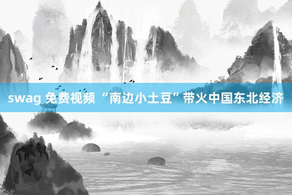 swag 免费视频 “南边小土豆”带火中国东北经济