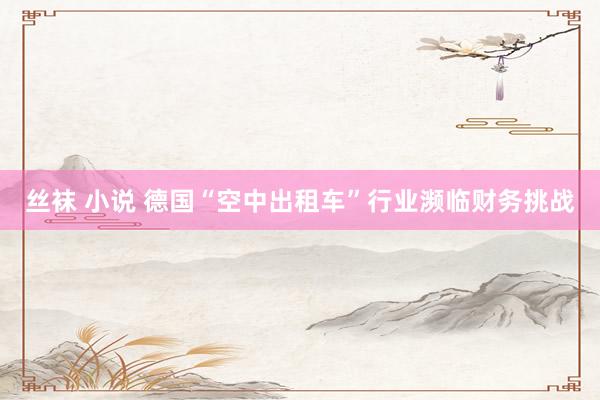 丝袜 小说 德国“空中出租车”行业濒临财务挑战