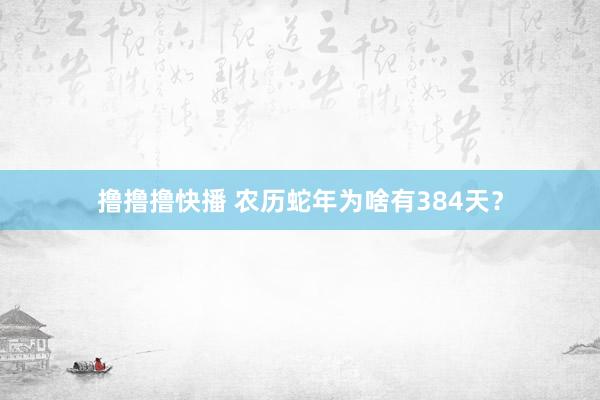 撸撸撸快播 农历蛇年为啥有384天？