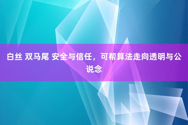白丝 双马尾 安全与信任，可帮算法走向透明与公说念
