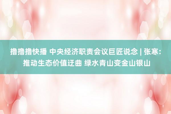撸撸撸快播 中央经济职责会议巨匠说念 | 张寒: 推动生态价值迂曲 绿水青山变金山银山