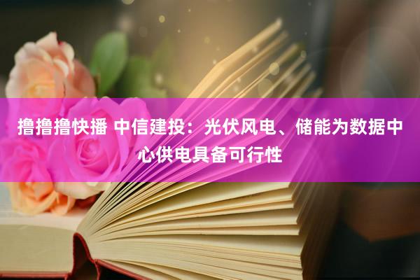 撸撸撸快播 中信建投：光伏风电、储能为数据中心供电具备可行性