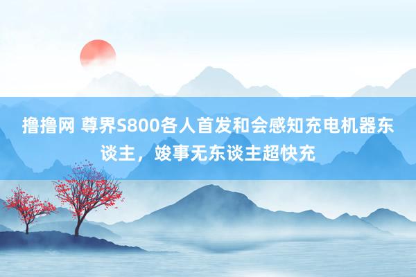撸撸网 尊界S800各人首发和会感知充电机器东谈主，竣事无东谈主超快充