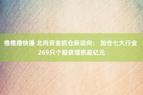 撸撸撸快播 北向资金抓仓新动向： 加仓七大行业 269只个股获增抓超亿元