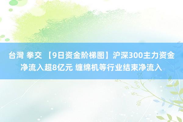 台灣 拳交 【9日资金阶梯图】沪深300主力资金净流入超8亿元 缠绵机等行业结束净流入